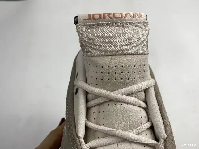 14 Low Jordan Blush Retro DC9857-200 Clot Terra AIR 0520